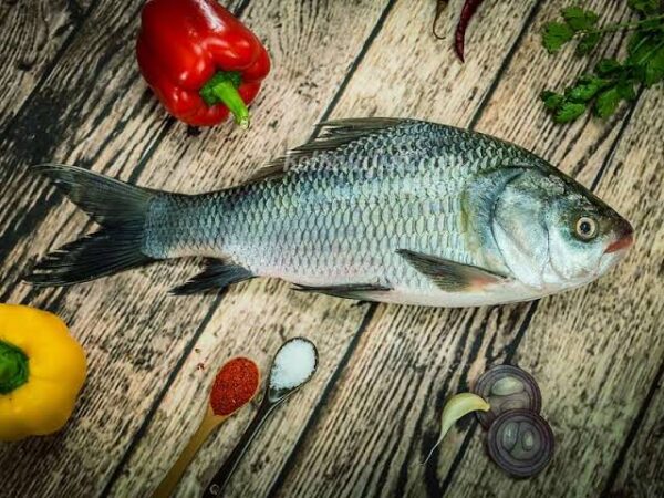 Cutting Katla Fish – Local, Fresh, and Cleaned to Perfection - Image 2