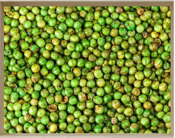 Veganic Organic Roasted Green Peas (Crunchy)|Salted & Masala Green Peas (Namkeen Matar)|Dried Matar Snacks 400g