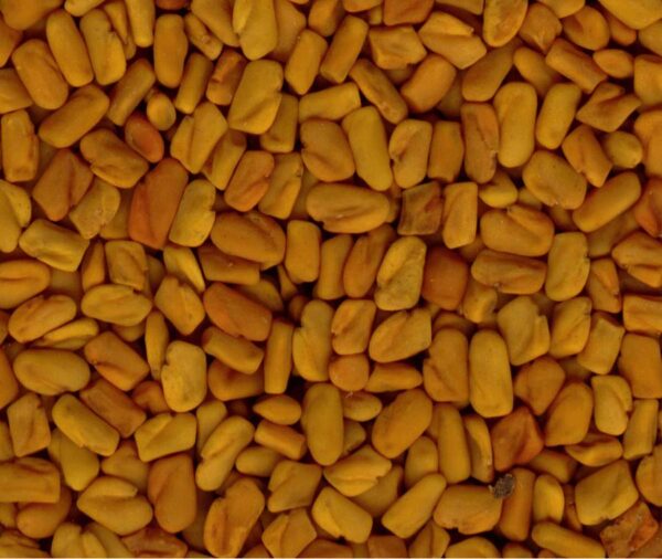 Methi 200g