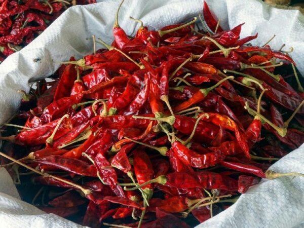 Sukha mircha/ Red chilli / Sukno lonka 10kg